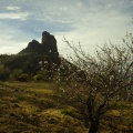 Almendro y Roque Nublo