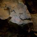Pinturas rupestres Cueva la Chiquita