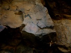 Pinturas rupestres Cueva la Chiquita