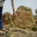 Piedra labrada ceraza de Mazaleón