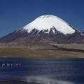 Volcán Parinacota y lago Chungará