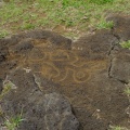Petroglifo del hombre pajaro