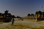 Avenida del templo de Karnak