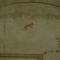 Leopardo Detalle de fresco
