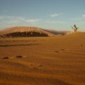 Pisadas en el Namib