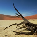 Dead Vlein en el Namib
