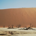 Dead Vlein en el Namib
