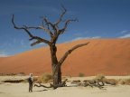 Arboles muertos en Dead Vlein en el Namib