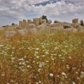 Templo en Segesta