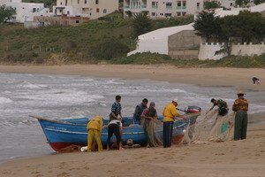 IMG 4520