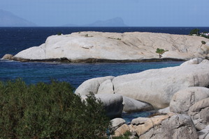 IMG 03661 rec